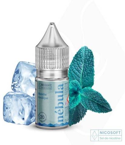 E LIQUIDE MENTHE ARCTIQUE SEL DE NICOTINE 20 MG